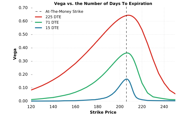 vega-option