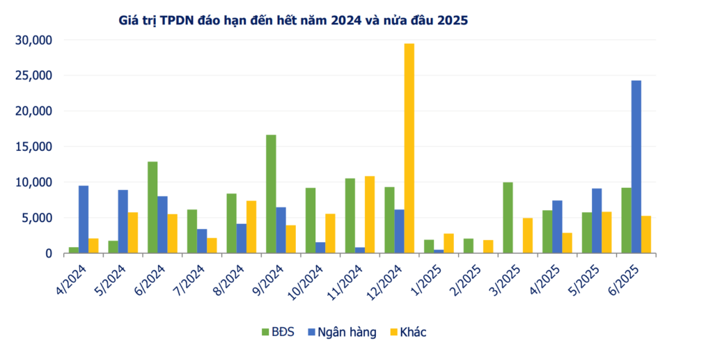 gia-tri-tpdn-dao-han-nam-2024-va-nua-dau-nam-2025