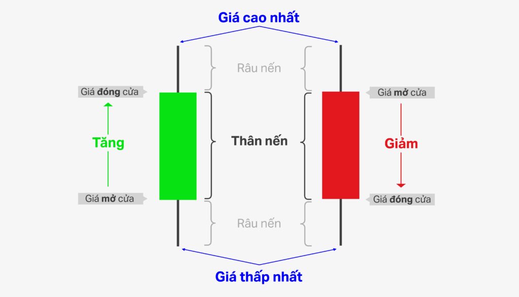 Hinh-4-Cau-tao-cua-nen-tang-va-nen-giam